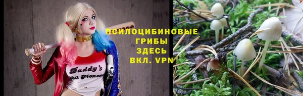 бошки Алзамай