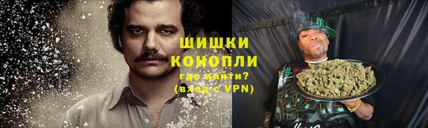 spice Алексин