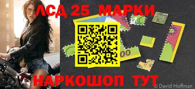 прущие грибы Кандалакша