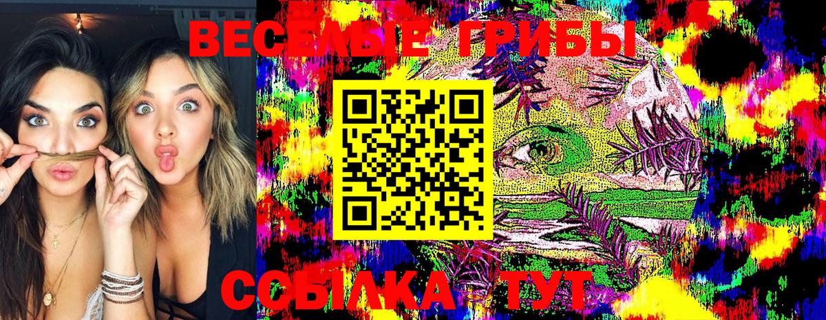 Псилоцибиновые грибы MAGIC MUSHROOMS Лысьва