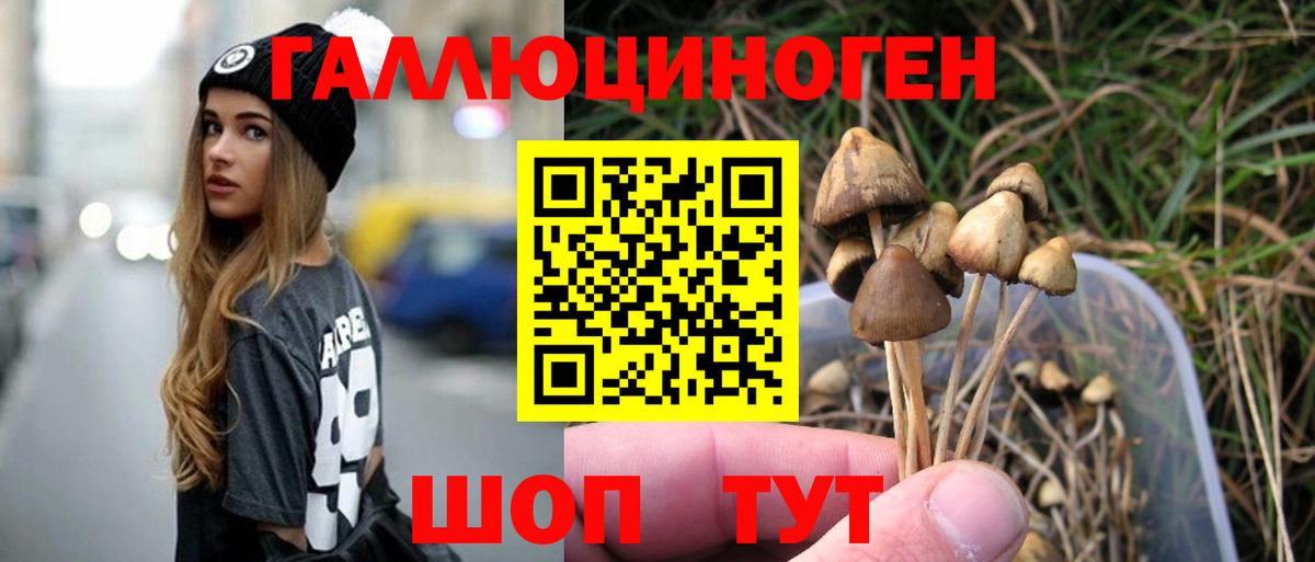 Псилоцибиновые грибы Psilocybe  Вход с VPN  магазин    Лысьва 
